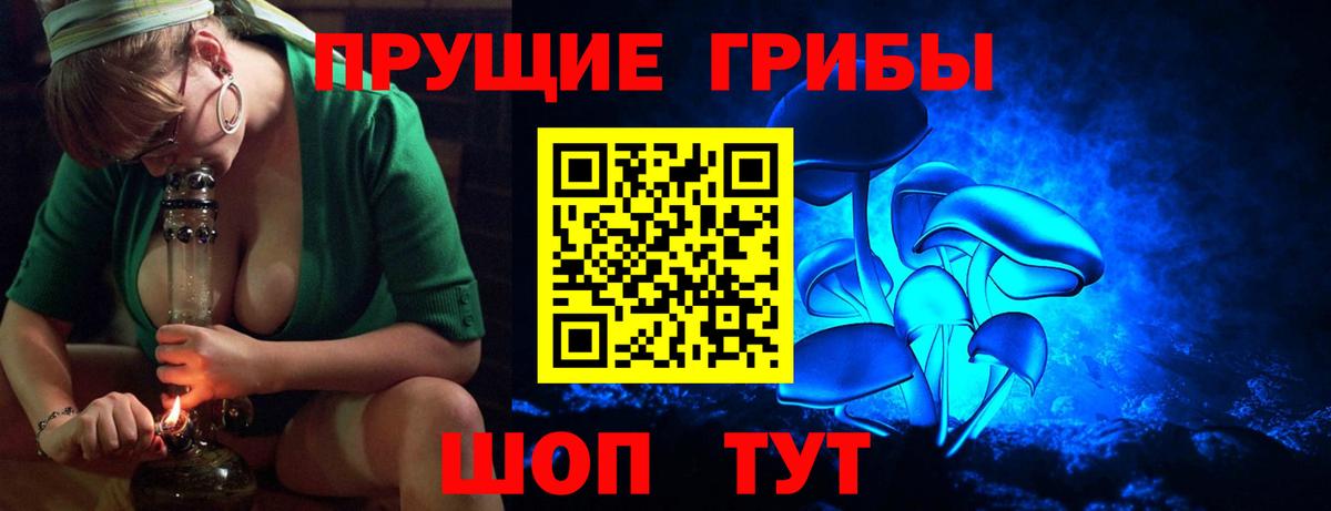 Бор  Галлюциногенные грибы ЛСД  Галлюциногенные грибы Psilocybe  сколько стоит  Вход с VPN 